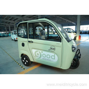 Casual 2 Doors Electric Tricycles